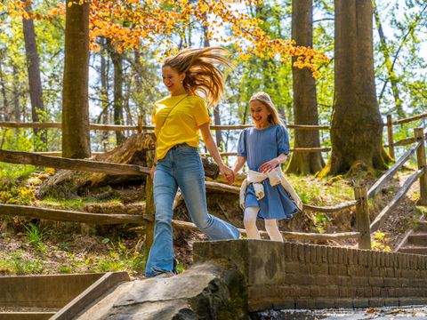 EuroParcs Beekbergen - Apeldoorn - Image N°31