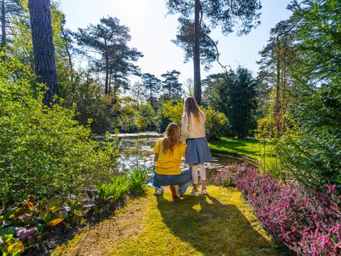 EuroParcs Beekbergen - Apeldoorn - Image N°32