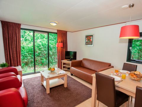 Landal Het Land van Bartje - Camping Borger-Odoorn - Image N°4