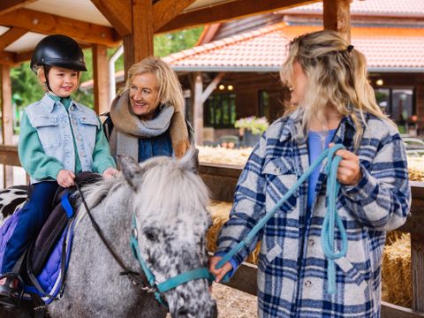Landal Het Land van Bartje - Borger-Odoorn - Image N°2