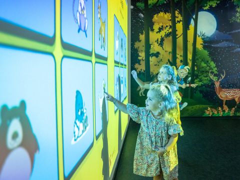 Landal Het Land van Bartje - Borger-Odoorn - Image N°4