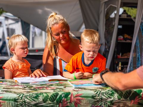 Vakantiepark Witterzomer - Assen - Image N°62