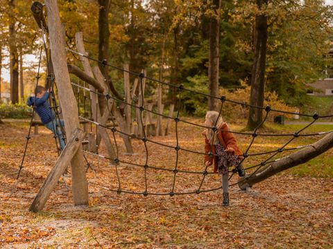 Vakantiepark Witterzomer - Assen - Image N°3