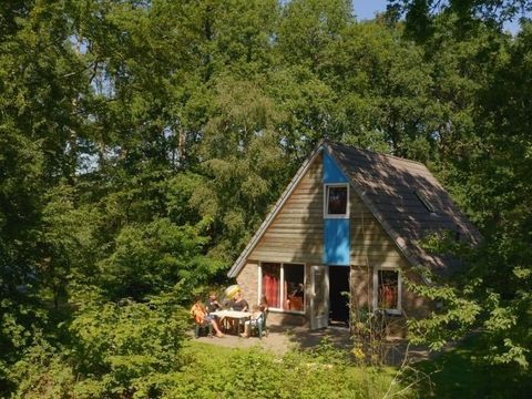 Vakantiepark Witterzomer - Camping Assen