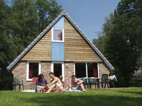 Vakantiepark Witterzomer - Camping Assen - Image N°0