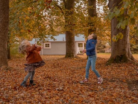 Vakantiepark Witterzomer - Assen - Image N°0