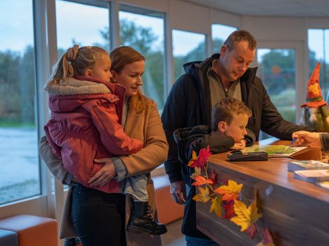 Vakantiepark Witterzomer - Assen - Image N°5