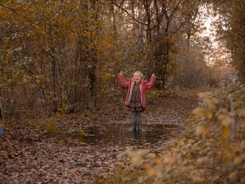 Vakantiepark Witterzomer - Assen