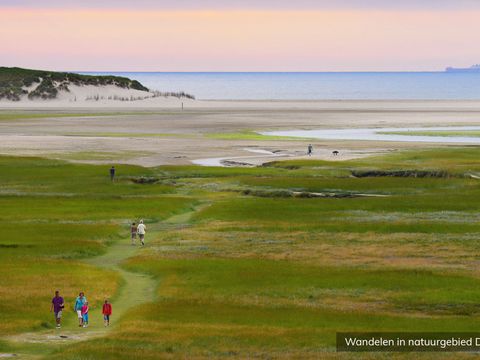 Vakantiepark De Krim Texel - Texel - Image N°32