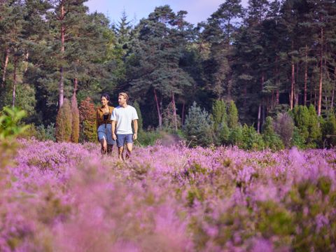 Center Parcs Bispinger Heide - Niedersachsen