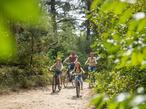 Center Parcs Bispinger Heide - Niedersachsen