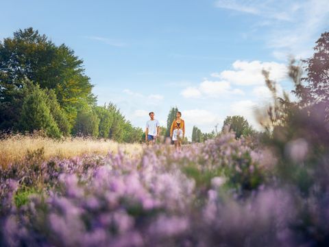 Center Parcs Bispinger Heide - Niedersachsen