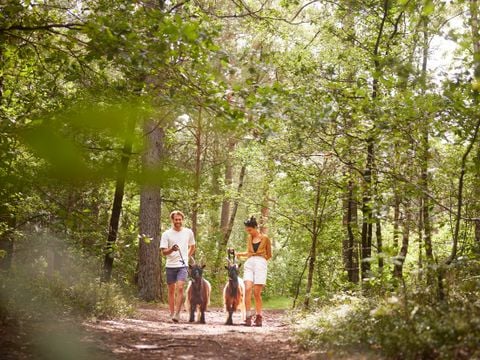 Center Parcs Bispinger Heide - Niedersachsen