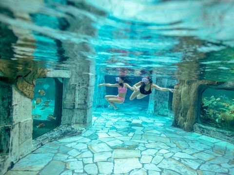 Center Parcs Het Heijderbos - Gennep - Image N°2