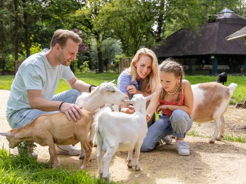 Center Parcs Het Heijderbos - Gennep - Image N°51