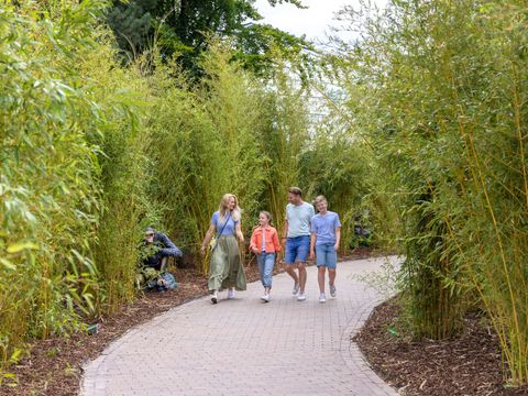 Center Parcs Het Heijderbos - Gennep