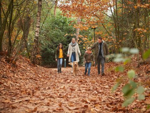 Center Parcs Het Heijderbos - Gennep - Image N°24
