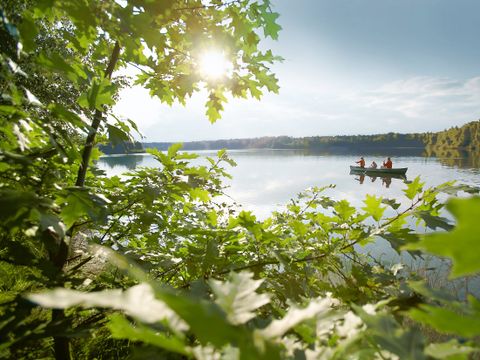 Center Parcs De Kempervennen - Bergeijk - Image N°26