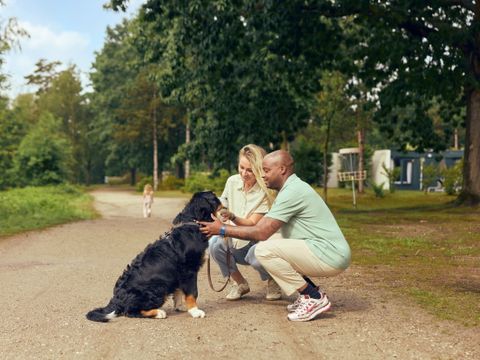 Center Parcs De Kempervennen - Bergeijk - Image N°59