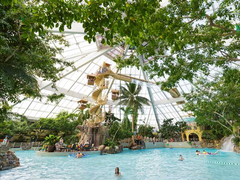 Center Parcs De Vossemeren - Camping Belgisches Limburg - Image N°2