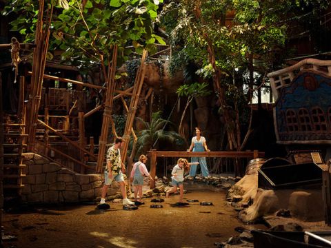 Center Parcs De Vossemeren - Camping Belgisches Limburg - Image N°3