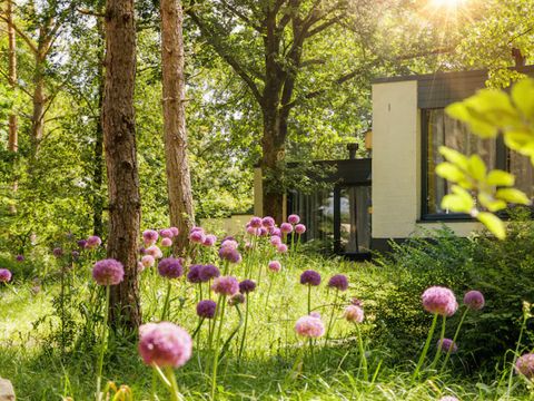 Center Parcs De Vossemeren - Belgisches Limburg - Image N°35