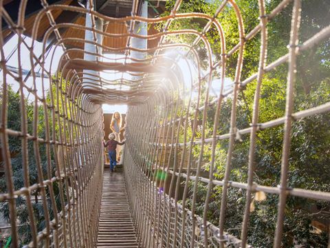 Center Parcs De Vossemeren - Camping Belgisches Limburg - Image N°2