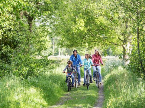 Center Parcs Park Erperheide - Belgisches Limburg