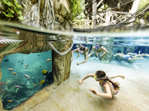 Center Parcs Park Erperheide - Camping Belgisches Limburg