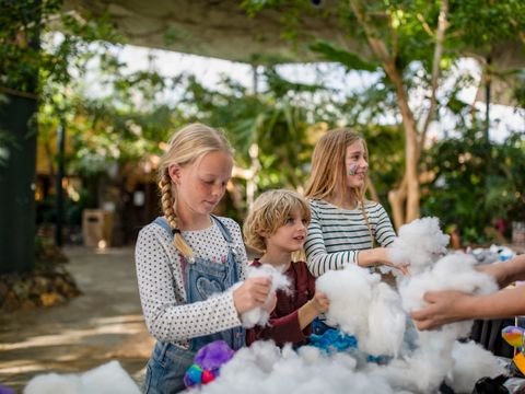 Center Parcs Park Erperheide - Belgisches Limburg - Image N°4