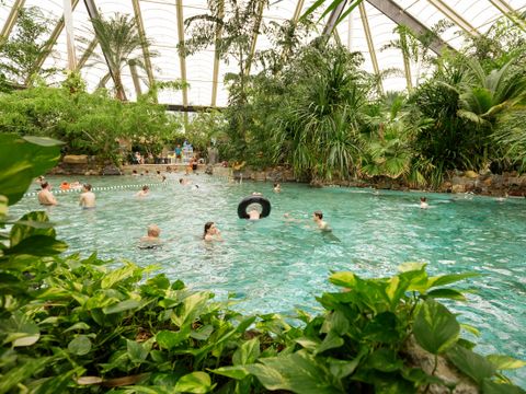 Center Parcs Park Erperheide - Camping Belgisches Limburg