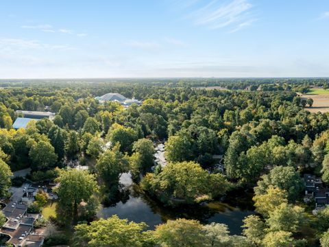 Center Parcs Park Erperheide - Belgisches Limburg - Image N°49