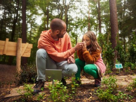 Center Parcs Park Erperheide - Belgisches Limburg