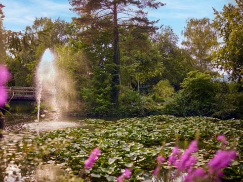 Center Parcs Park Erperheide - Belgisches Limburg - Image N°45