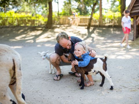 Center Parcs Park Erperheide - Belgisches Limburg - Image N°30