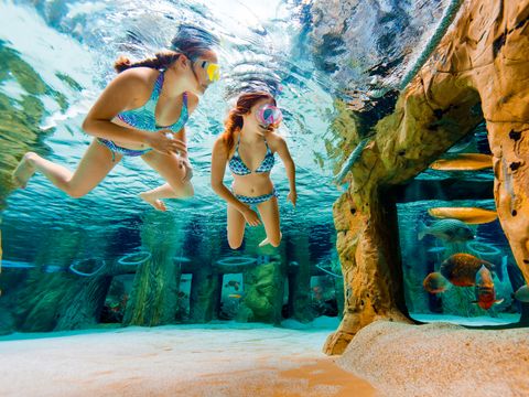 Center Parcs Park Erperheide - Belgisches Limburg