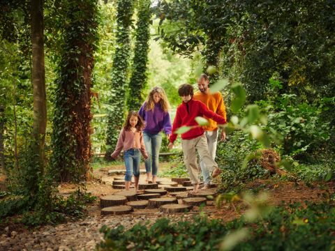 Center Parcs Park Erperheide - Belgisches Limburg - Image N°3