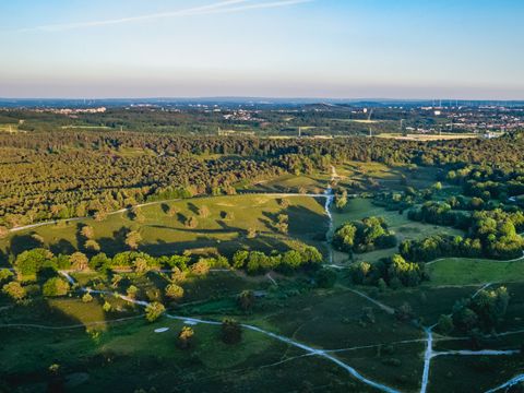 EuroParcs Brunssummerheide - Brunssum - Image N°41