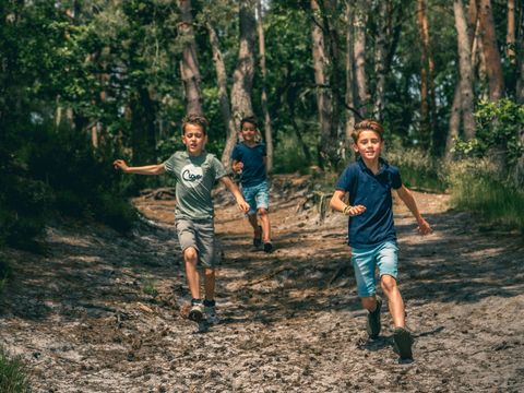 EuroParcs Brunssummerheide - Brunssum - Image N°13