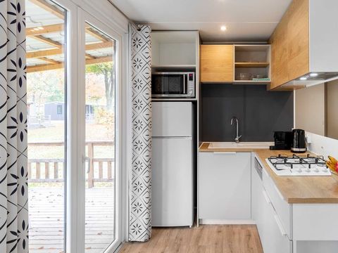 Molecaten Park Noordduinen - Katwijk am Meer - Image N°4