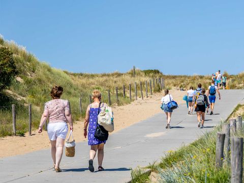 Molecaten Park Noordduinen - Katwijk am Meer - Image N°28