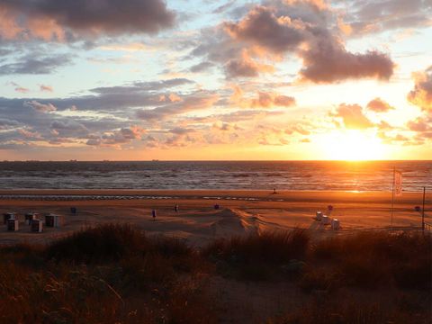 Molecaten Park Noordduinen - Katwijk am Meer - Image N°30