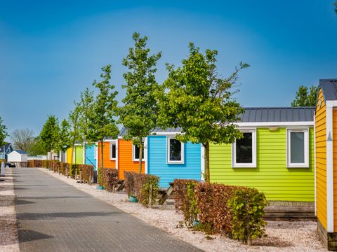Vakantiepark Eiland van Maurik - Camping Buren - Image N°0