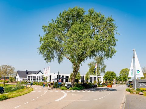 Vakantiepark Eiland van Maurik - Buren - Image N°18