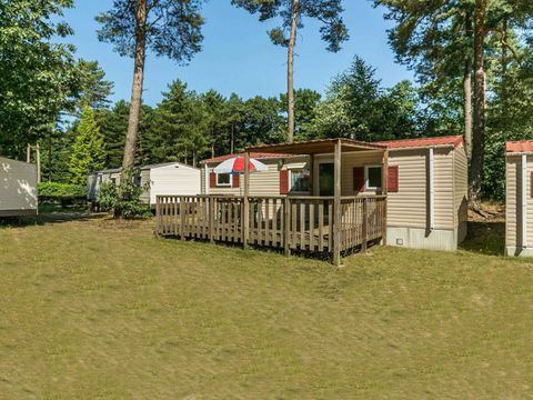 Oostappen park Hengelhoef - Camping Belgisches Limburg - Image N°0