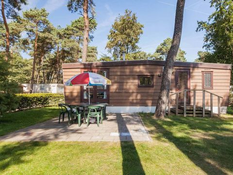 Oostappen park Arnhem - Camping Arnheim - Image N°0