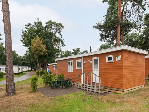 Oostappen park Arnhem - Camping Arnheim - Image N°0