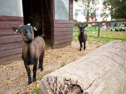 Vakantiepark Het Grootslag - Hollands Kroon