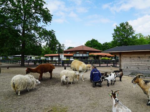 EuroParcs Limburg - Echt-Susteren - Image N°23