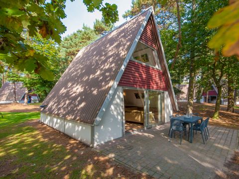 Roompot Bospark 't Wolfsven - Camping Geldrop Mierlo - Image N°0